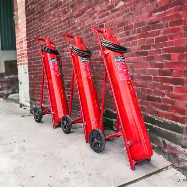 BÌNH CHỮA CHÁY XE ĐẨY DRAGON KHÍ CO2 24KG – MTT24 | HIỆU QUẢ CAO – AN TOÀN – DỄ SỬ DỤNG