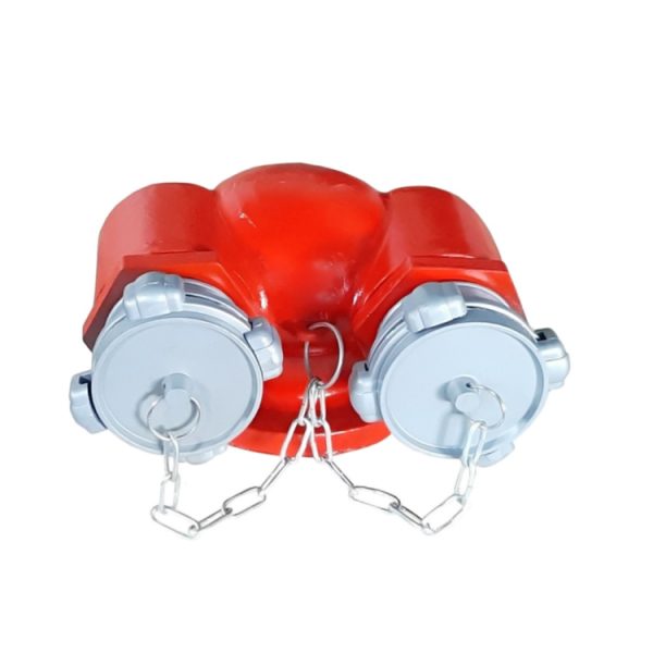 Họng tiếp nước chữa cháy 2 cửa D65